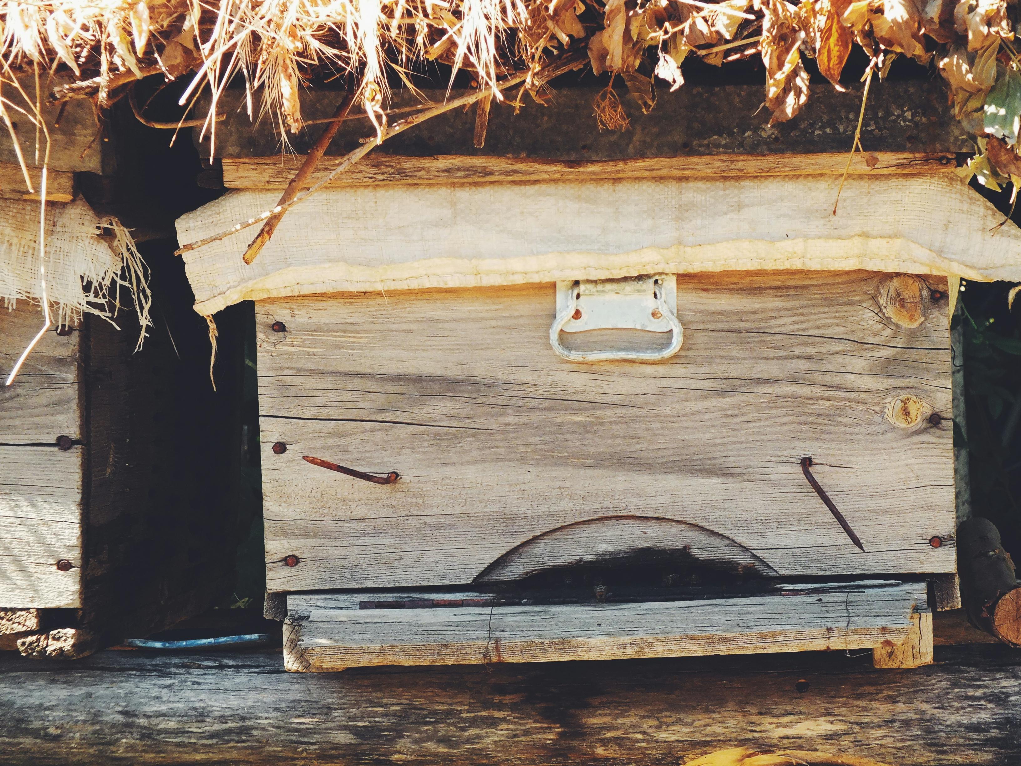 Kovandan gelen veri yazısı için görsel