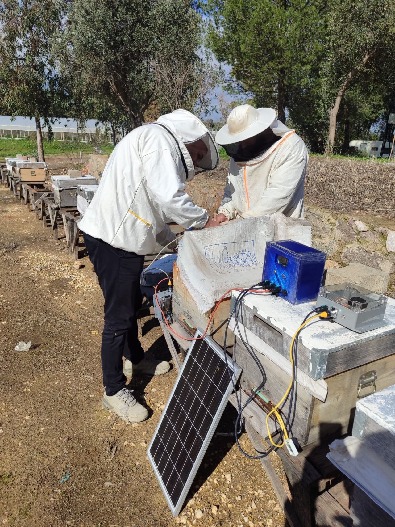 Ege Tarımsal Pilot saha kurulum görseli
