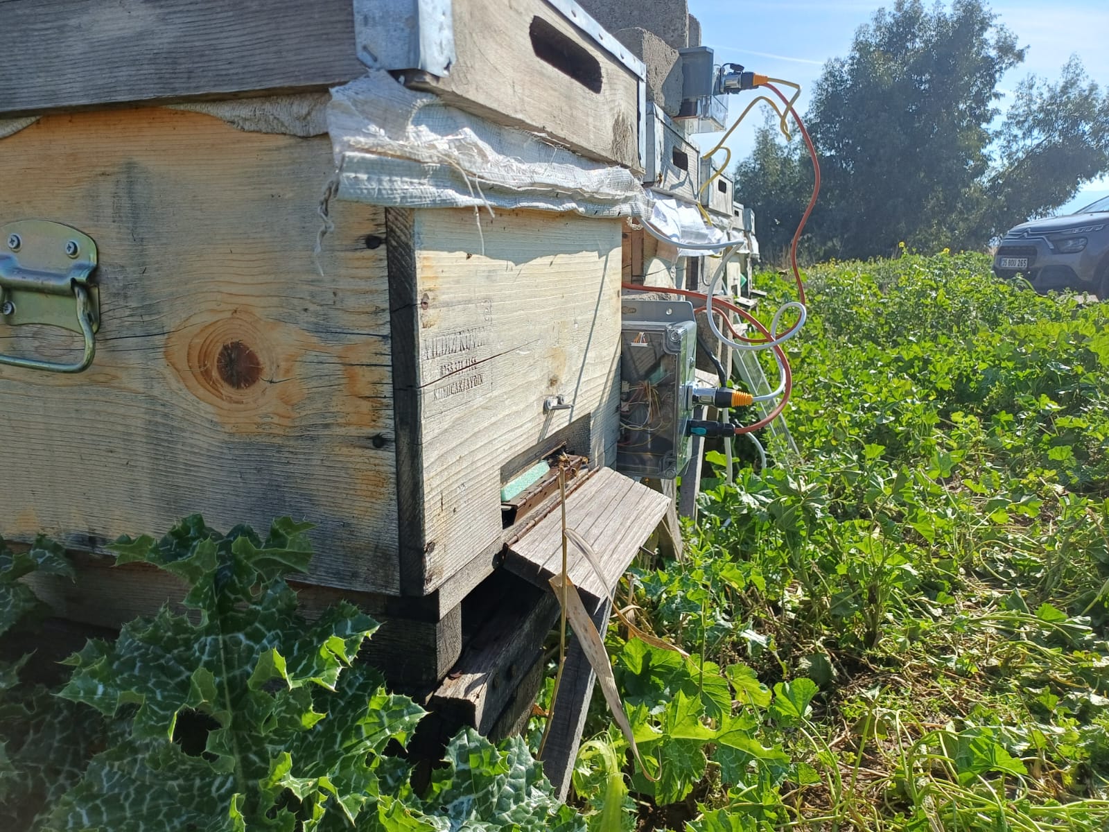 ETAE — Kovan yan duvarına entegre edilmiş Motesari sensör modülü yakın çekim