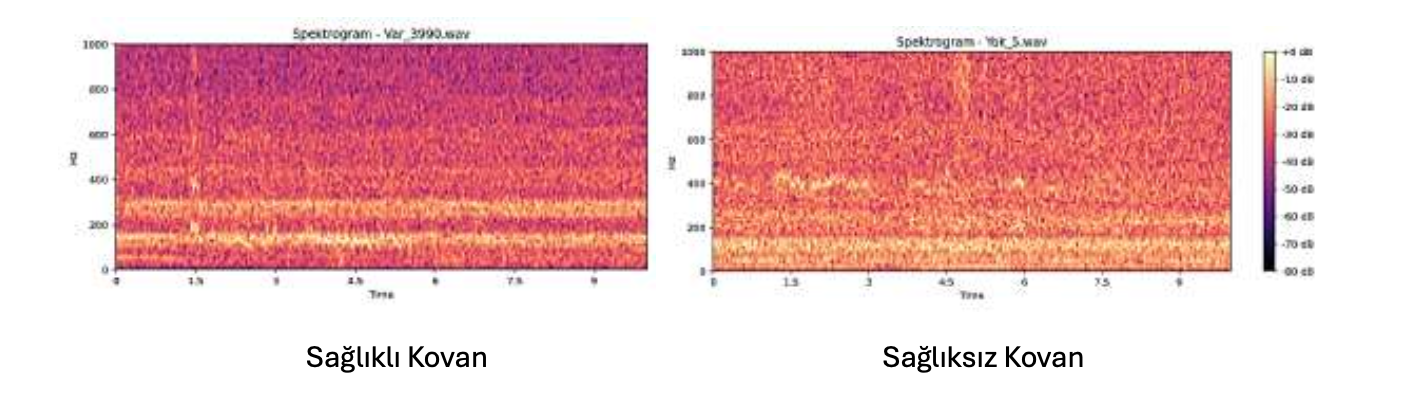 Yapay Zeka Destekli Biyoakustik Analiz